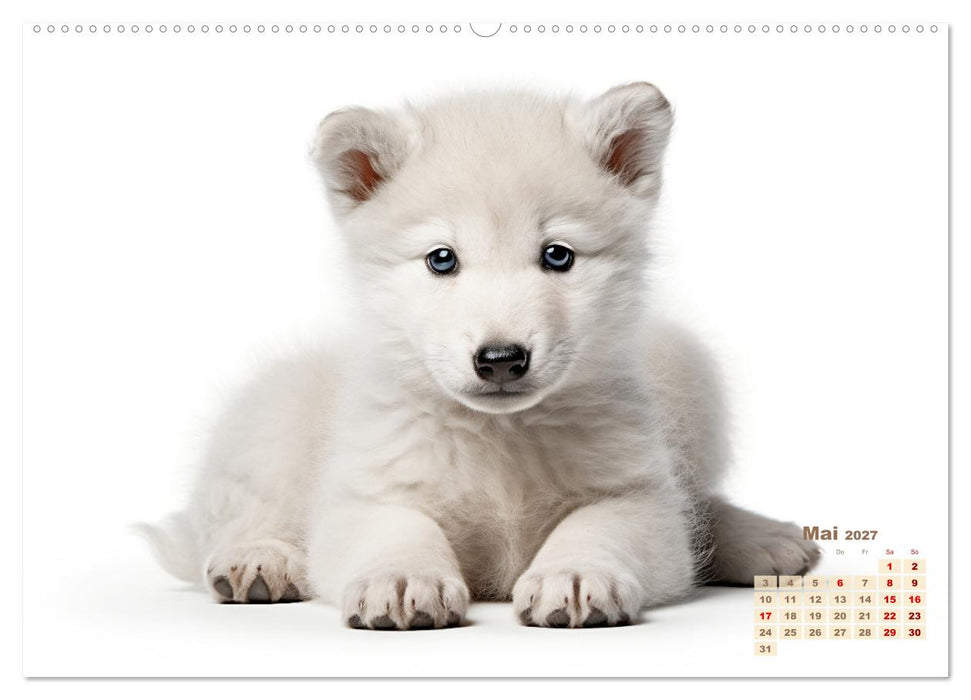 Weiße Tierwelt (CALVENDO Premium Wandkalender 2027)