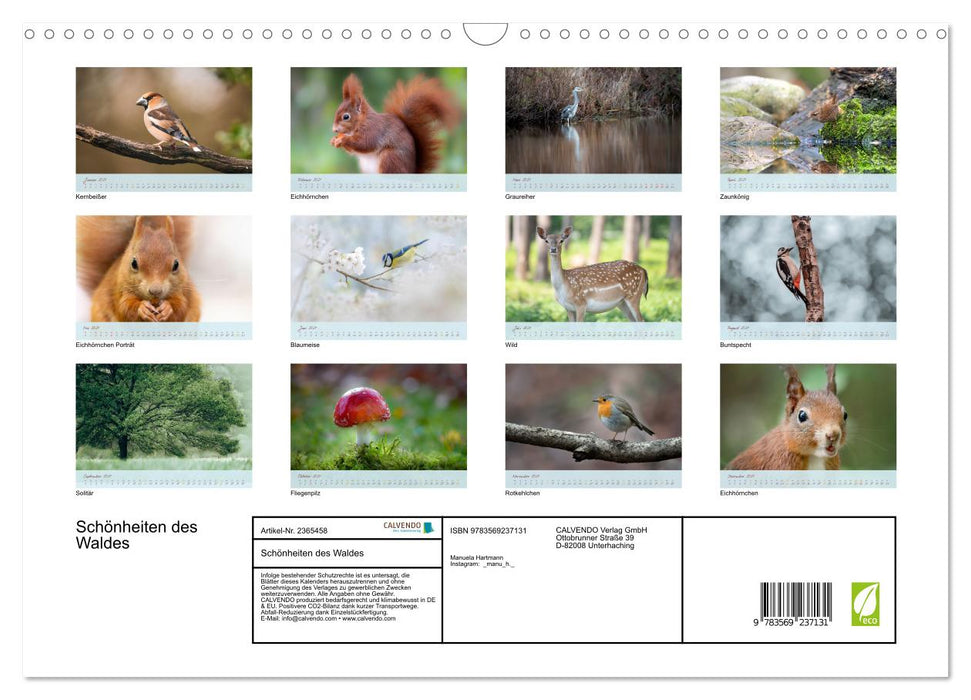 Schönheiten des Waldes (CALVENDO Wandkalender 2027)