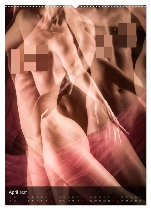 Sanfte Momente (CALVENDO Wandkalender 2027)