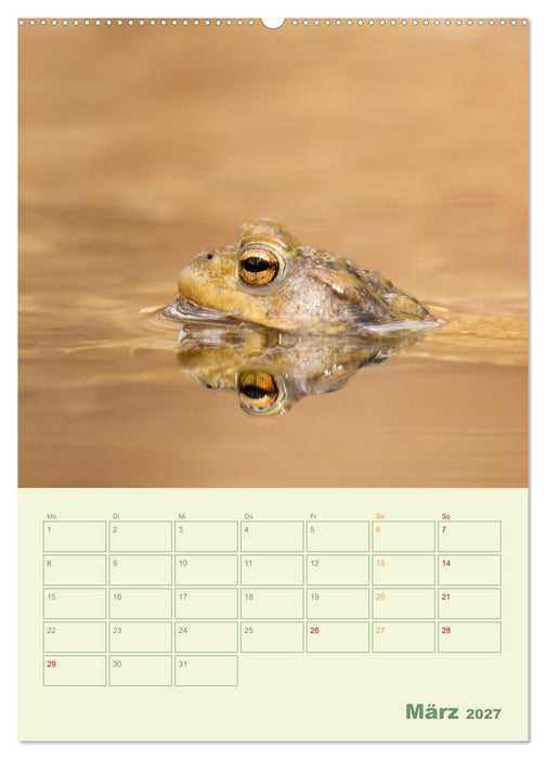 Waldmomente (CALVENDO Wandkalender 2027)