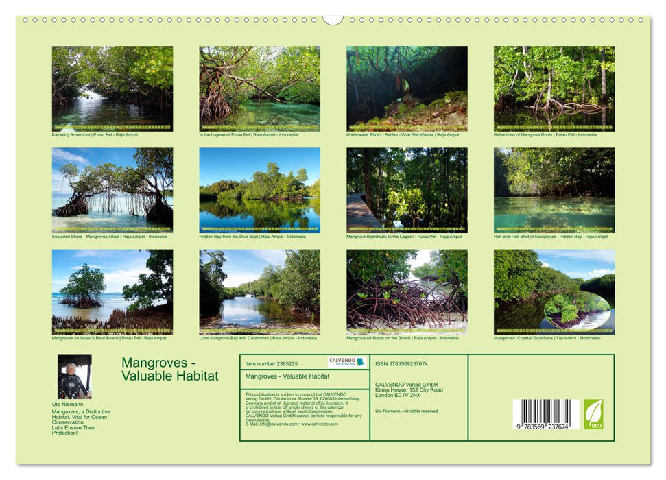 Mangroves - Valuable Habitat (CALVENDO Premium-Calendar 2027)