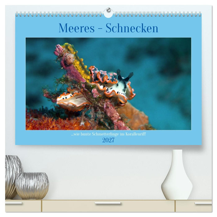 Meeres-Schnecken (CALVENDO Premium Wandkalender 2027)