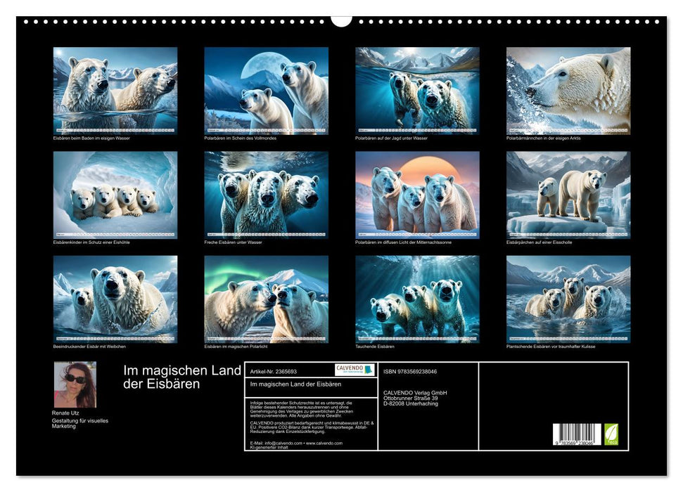 Im magischen Land der Eisbären (CALVENDO Wandkalender 2027)