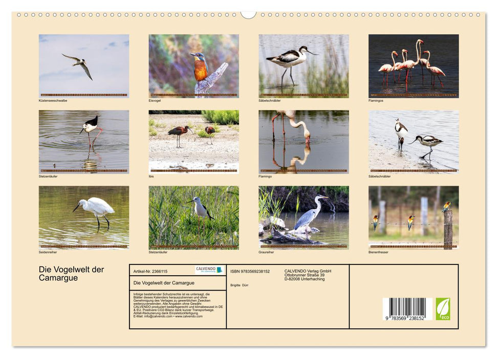 Die Vogelwelt der Camargue (CALVENDO Premium Wandkalender 2027)