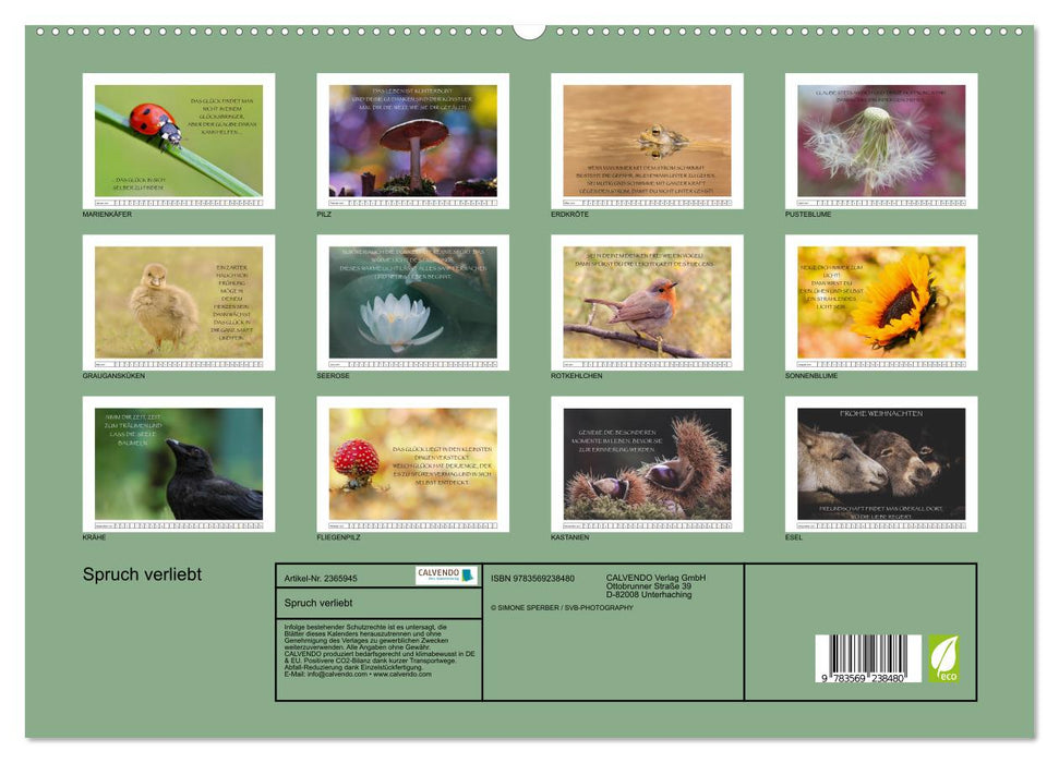 Spruch verliebt (CALVENDO Premium Wandkalender 2027)