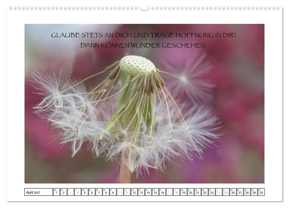 Spruch verliebt (CALVENDO Premium Wandkalender 2027)