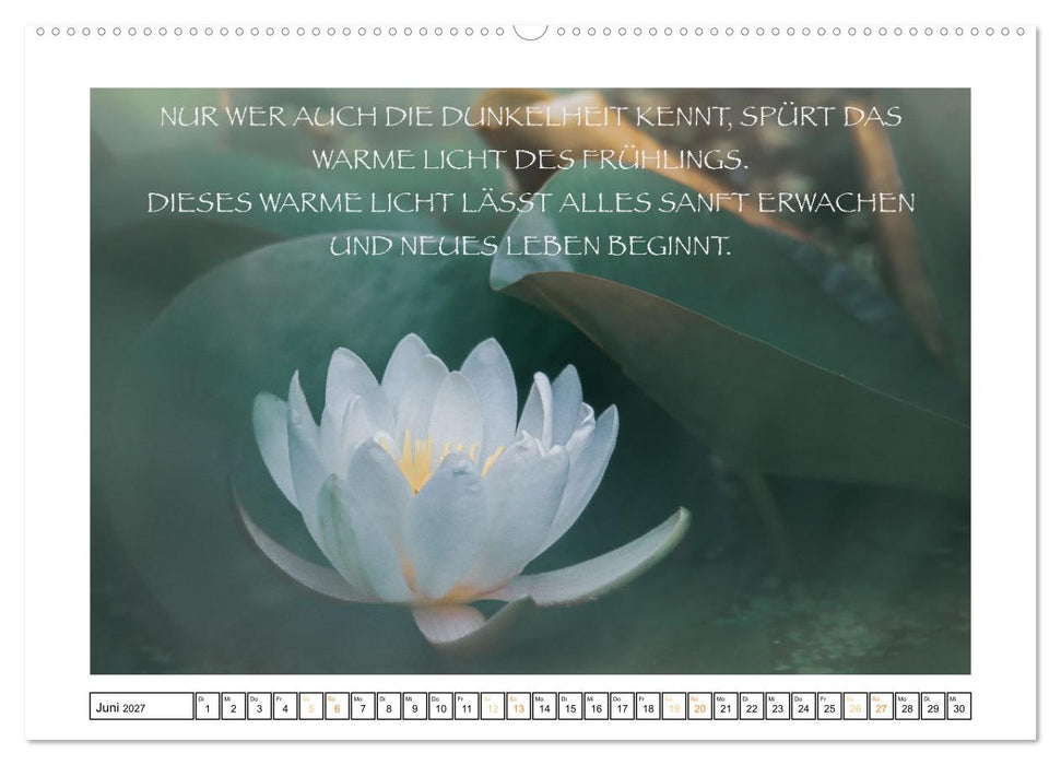 Spruch verliebt (CALVENDO Premium Wandkalender 2027)