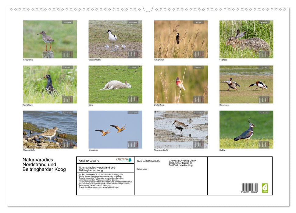 Naturparadies Nordstrand und Beltringharder Koog (CALVENDO Wandkalender 2027)