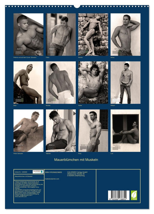 Mauerblümchen mit Muskeln (CALVENDO Premium Wandkalender 2027)