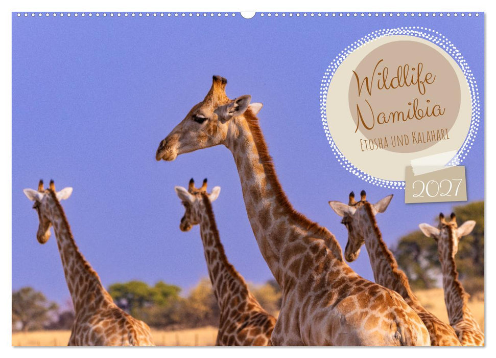 Wildlife Namibia - Etosha und Kalahari (CALVENDO Wandkalender 2027)