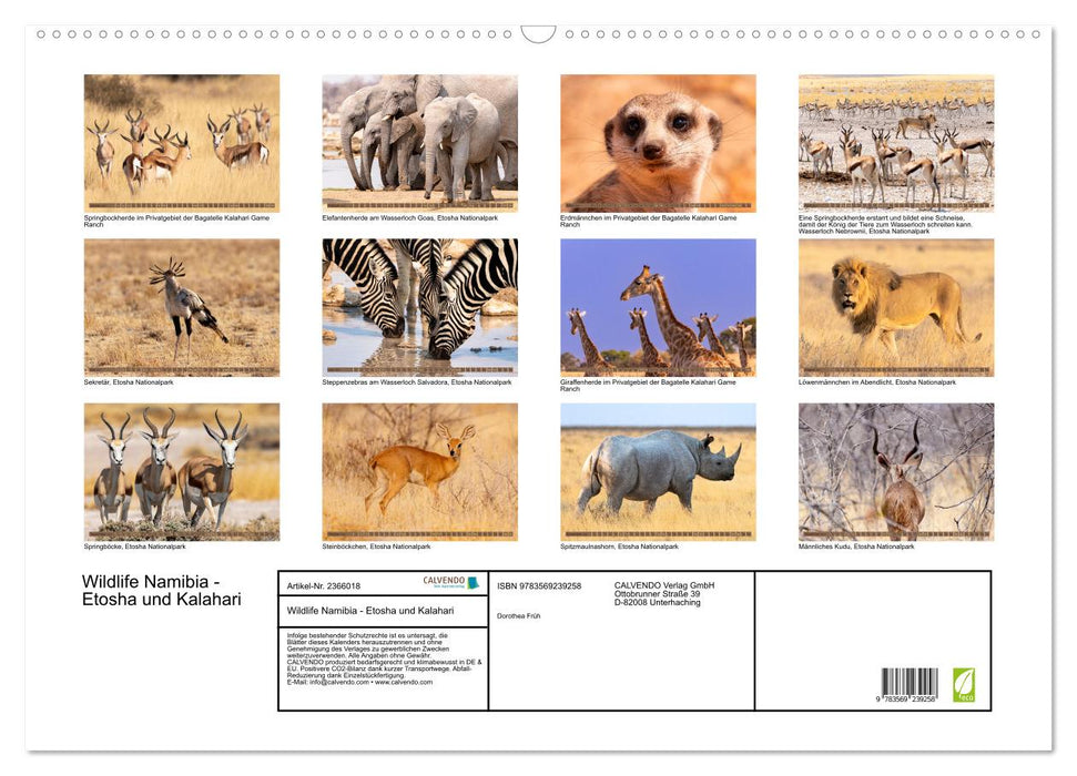 Wildlife Namibia - Etosha und Kalahari (CALVENDO Wandkalender 2027)