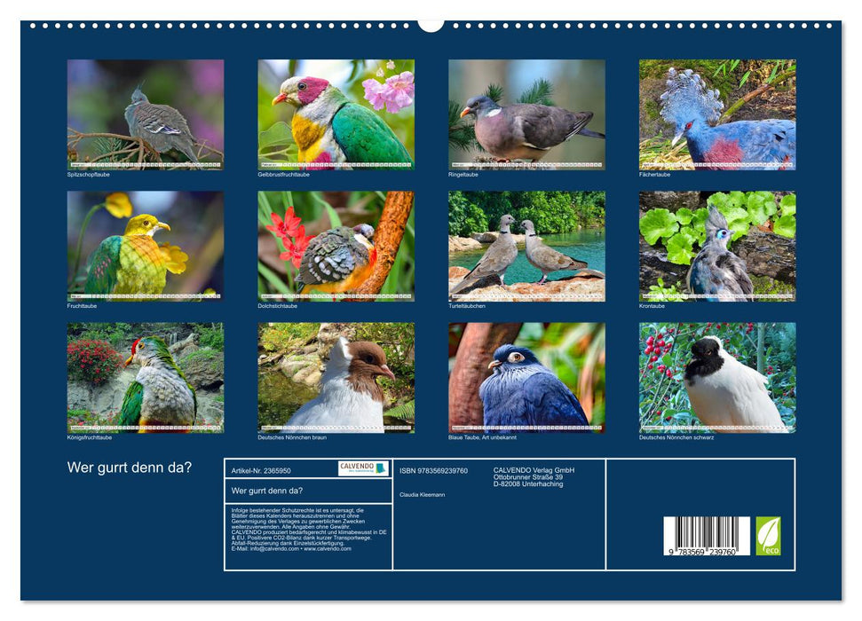 Wer gurrt denn da? (CALVENDO Premium Wandkalender 2027)