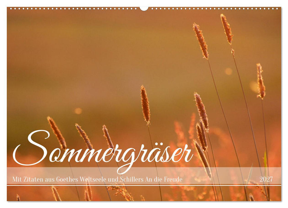 Sommergräser (CALVENDO Wandkalender 2027)