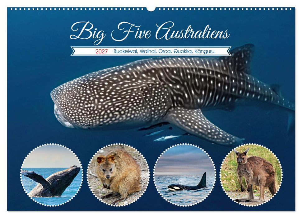 Big Five Australiens Buckelwal, Walhai, Orca, Quokka,Känguru (CALVENDO Wandkalender 2027)