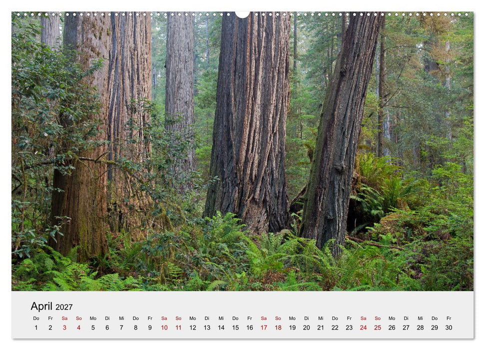 Kalifornien - Küsten und Wüsten, Städte und Berge (CALVENDO Premium Wandkalender 2027)