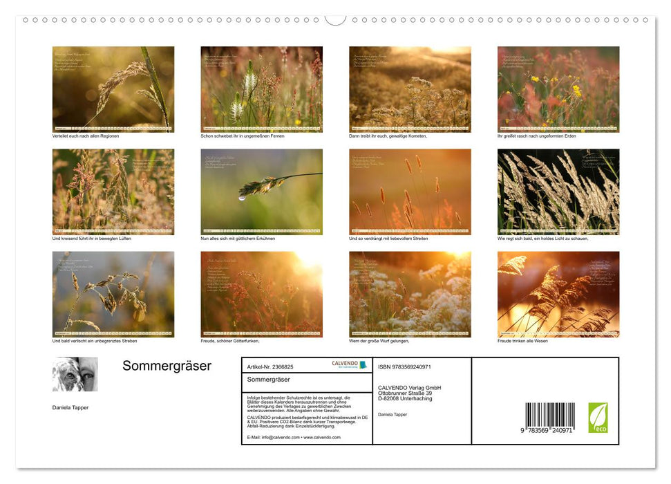 Sommergräser (CALVENDO Premium Wandkalender 2027)