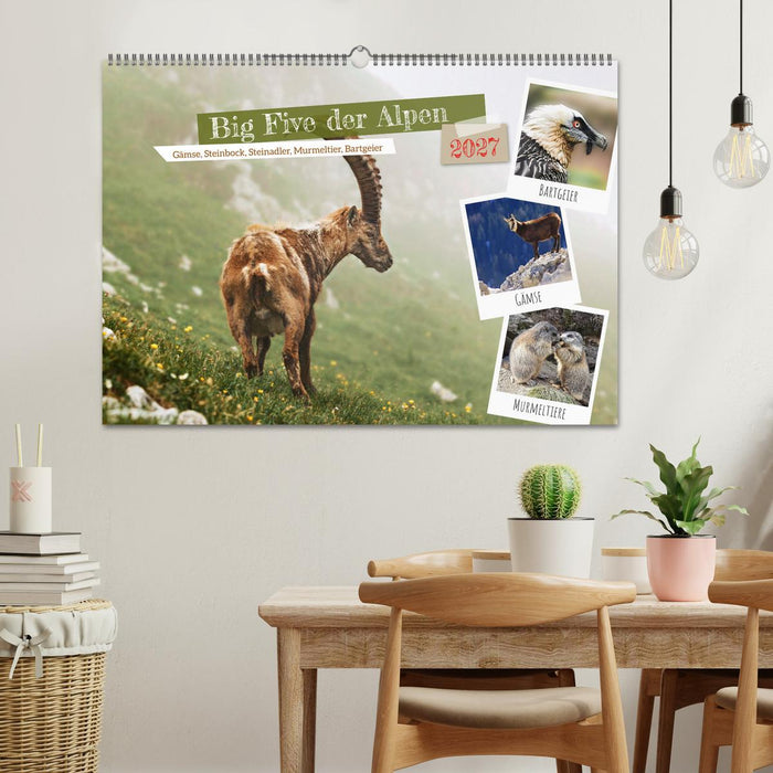 Big Five der Alpen Gämse, Steinbock, Murmeltier, Steinadler, Bartgeier (CALVENDO Wandkalender 2027)