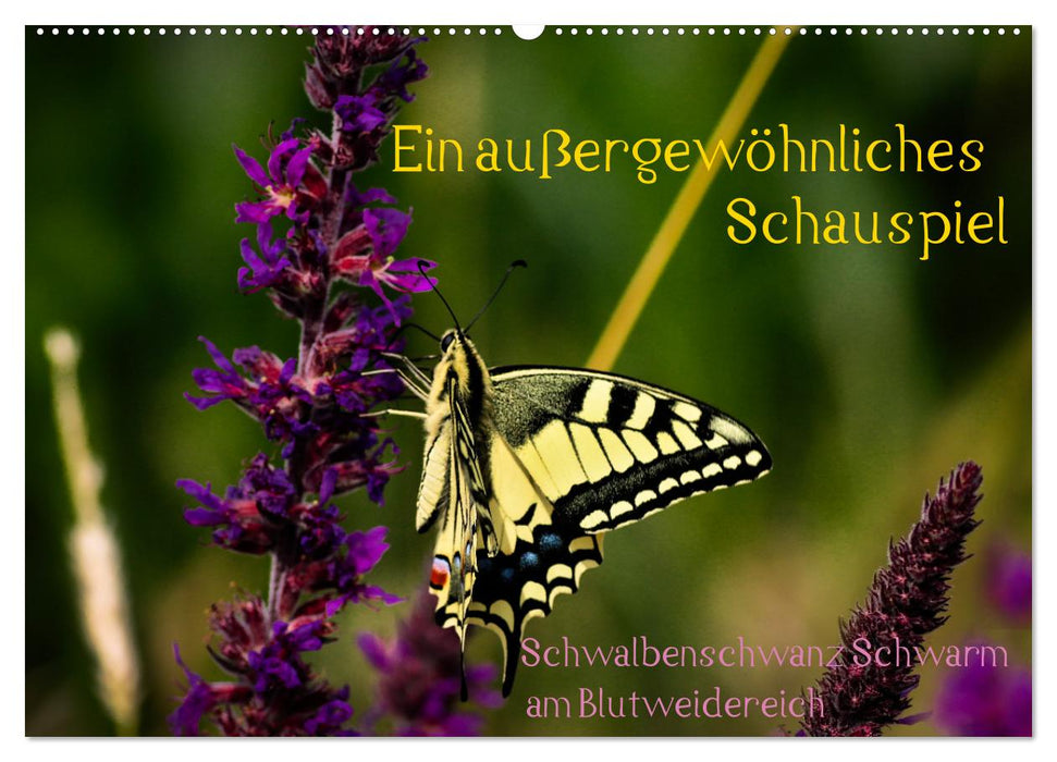 Ein außergewöhnliches Schauspiel (CALVENDO Wandkalender 2027)