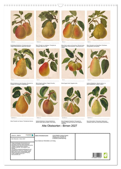 Alte Obstsorten - Birnen 2027 (CALVENDO Wandkalender 2027)