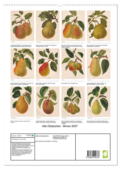 Alte Obstsorten - Birnen 2027 (CALVENDO Premium Wandkalender 2027)