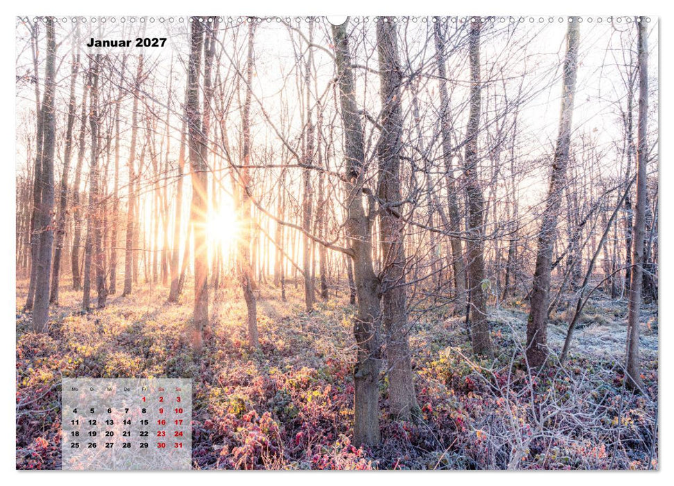 Ein Jahr Niederrhein Momente der Natur (CALVENDO Wandkalender 2027)