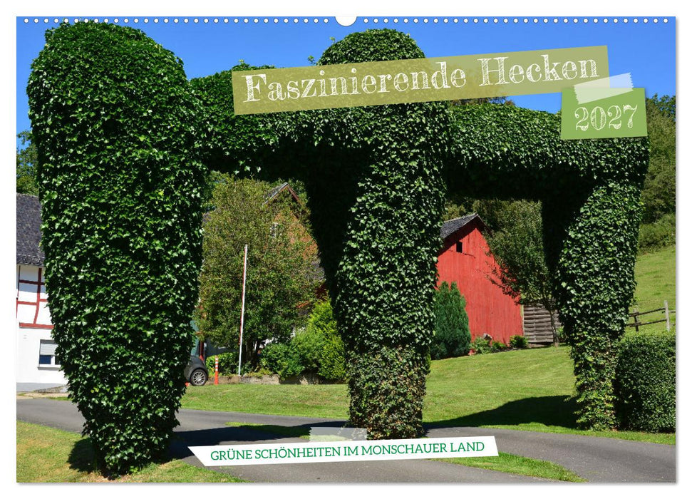 Faszinierende Hecken - Grüne Schönheiten im Monschauer Land (CALVENDO Wandkalender 2027)
