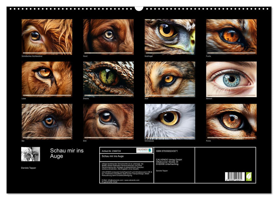Schau mir ins Auge (CALVENDO Wandkalender 2027)