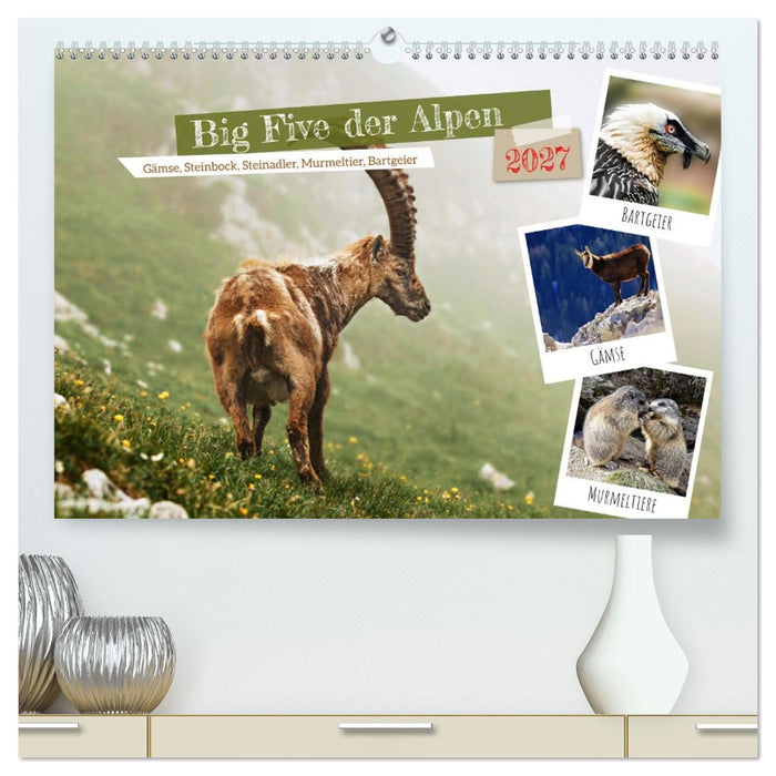 Big Five der Alpen Gämse, Steinbock, Murmeltier, Steinadler, Bartgeier (CALVENDO Premium Wandkalender 2027)