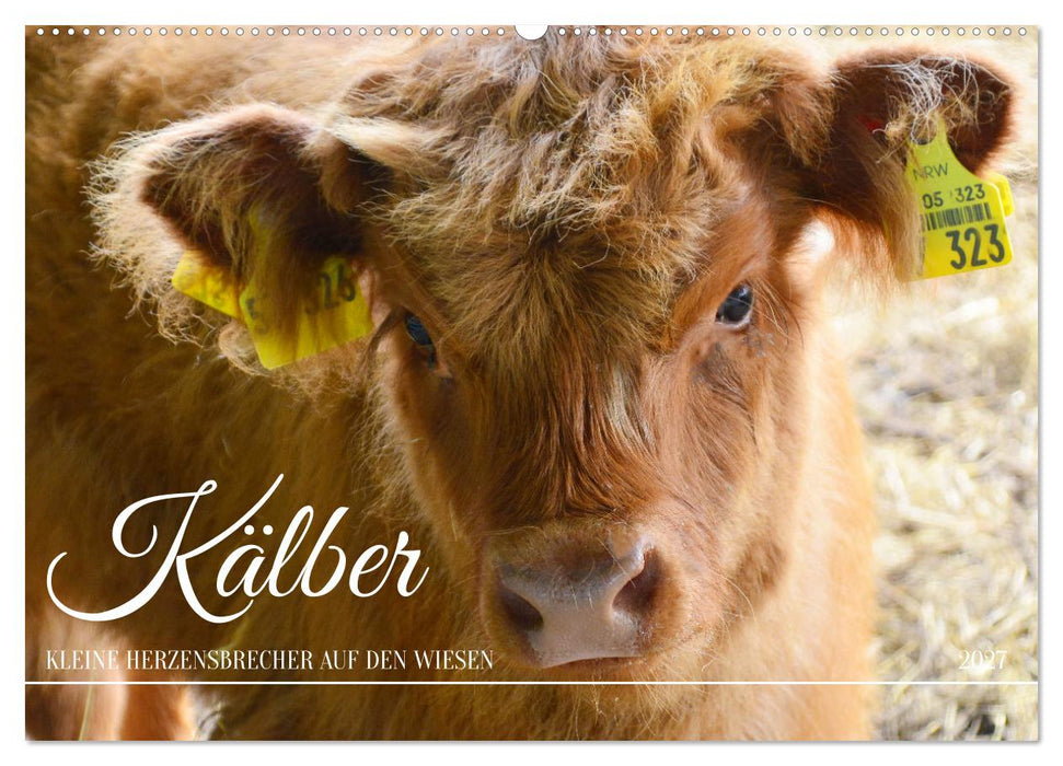 Kälber - Kleine Herzensbrecher auf den Wiesen (CALVENDO Wandkalender 2027)