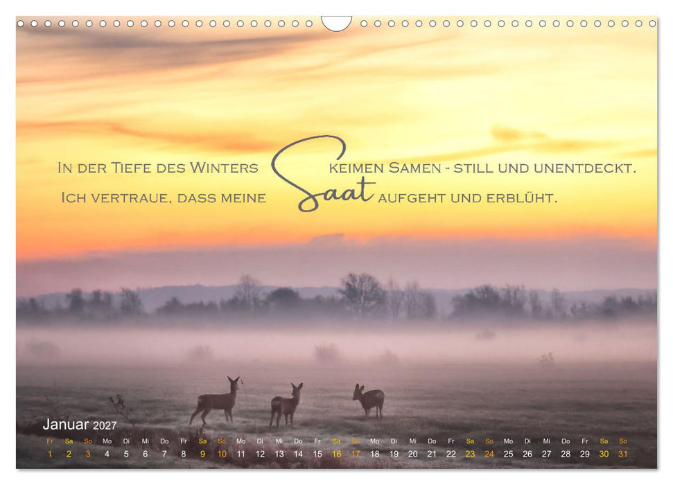 Vertraue! (CALVENDO Wandkalender 2027)