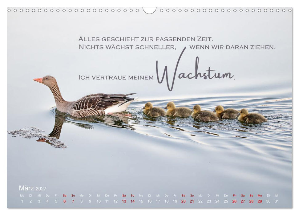 Vertraue! (CALVENDO Wandkalender 2027)