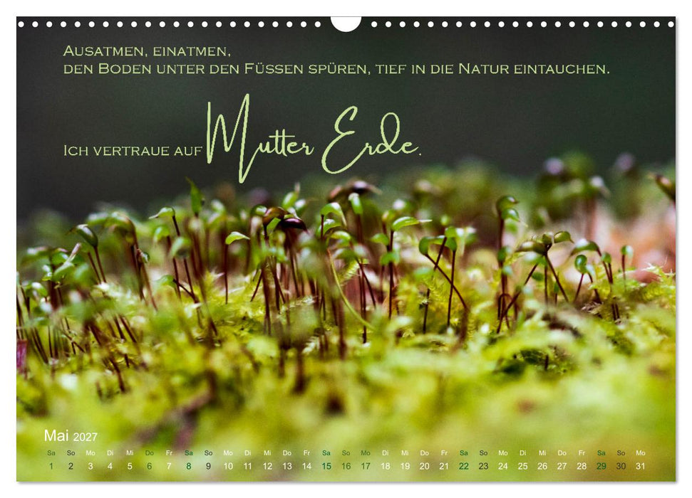 Vertraue! (CALVENDO Wandkalender 2027)