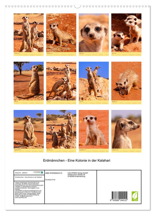 Erdmännchen - Eine Kolonie in der Kalahari (CALVENDO Premium Wandkalender 2027)