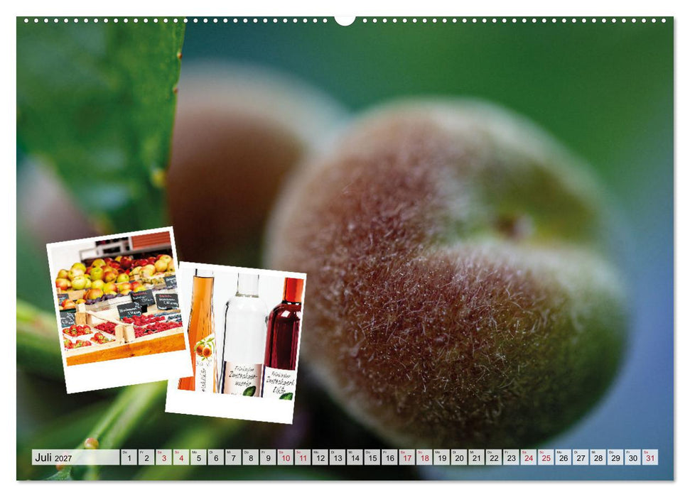 Einkaufen im Hofladen (CALVENDO Premium Wandkalender 2027)