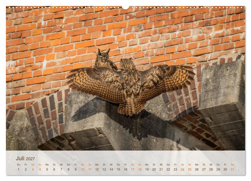 Uhu Highlights (CALVENDO Premium Wandkalender 2027)