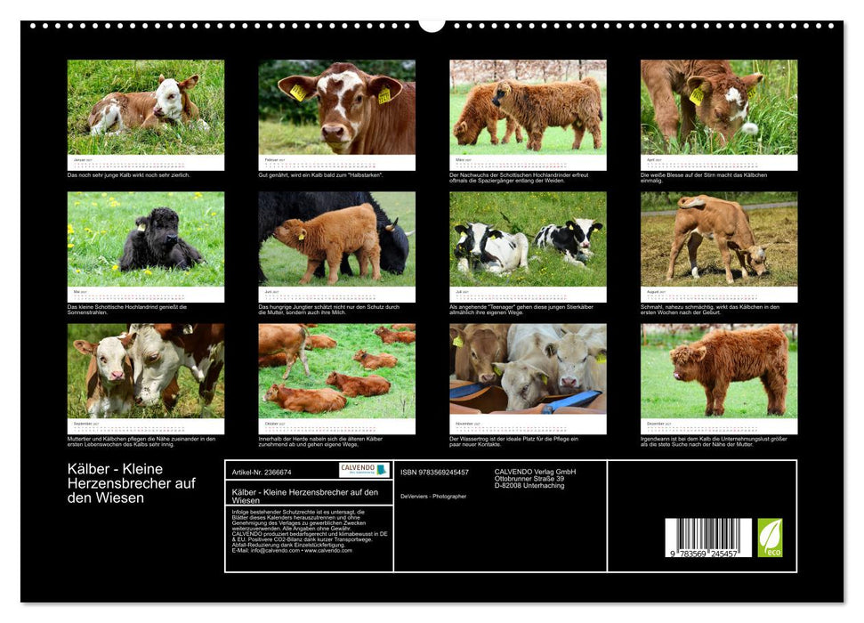 Kälber - Kleine Herzensbrecher auf den Wiesen (CALVENDO Premium Wandkalender 2027)
