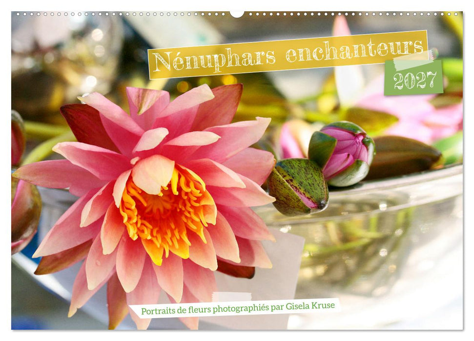 Nénuphars enchanteurs (CALVENDO Calendrier mensuel 2027)