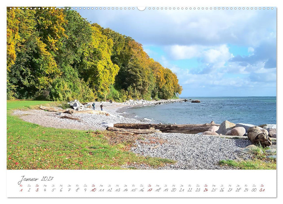 Mein Sassnitz - Hafenstadt und Erholungsort an der Kreideküste von Rügen (CALVENDO Wandkalender 2027)