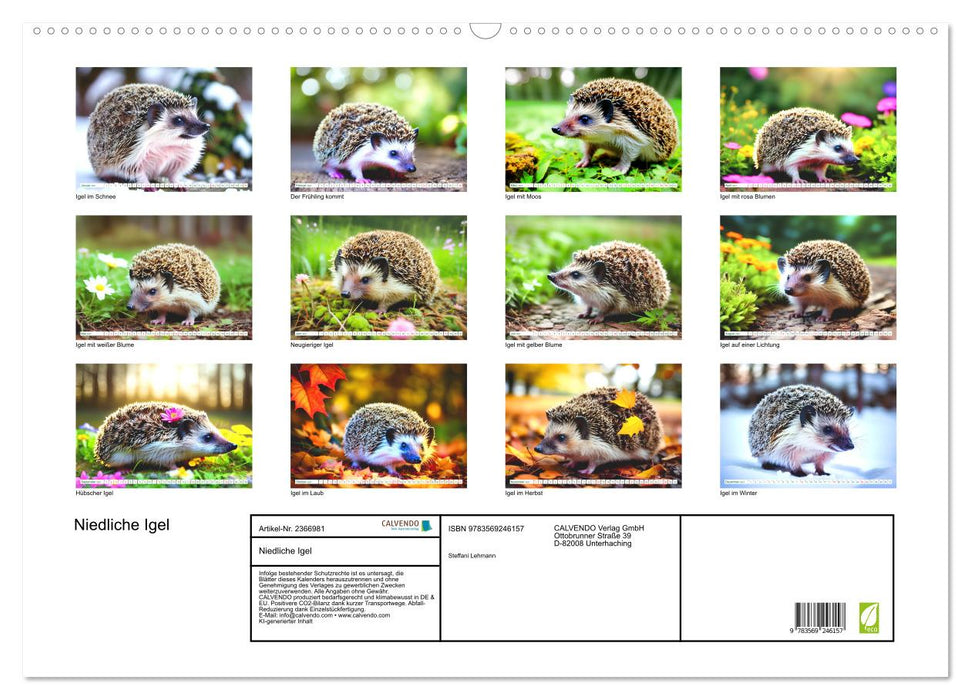 Niedliche Igel (CALVENDO Wandkalender 2027)