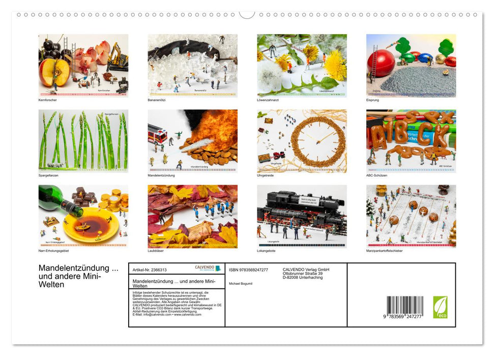 Mandelentzündung... und andere Mini-Welten (CALVENDO Premium Wandkalender 2027)
