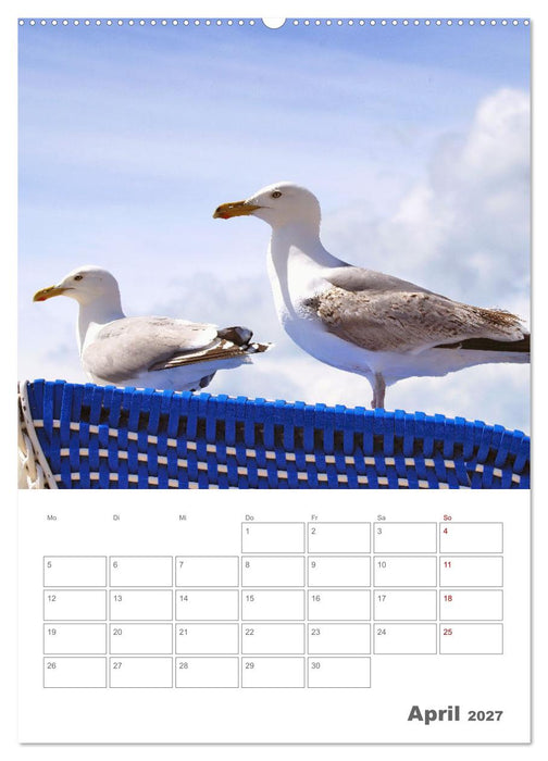 Mein Warnemünde - Das moderne Ostseebad im Norden von Rostock (CALVENDO Wandkalender 2027)