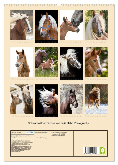 Schwarzwälder Füchse von Julia Hahn Photography (CALVENDO Premium Wandkalender 2027)