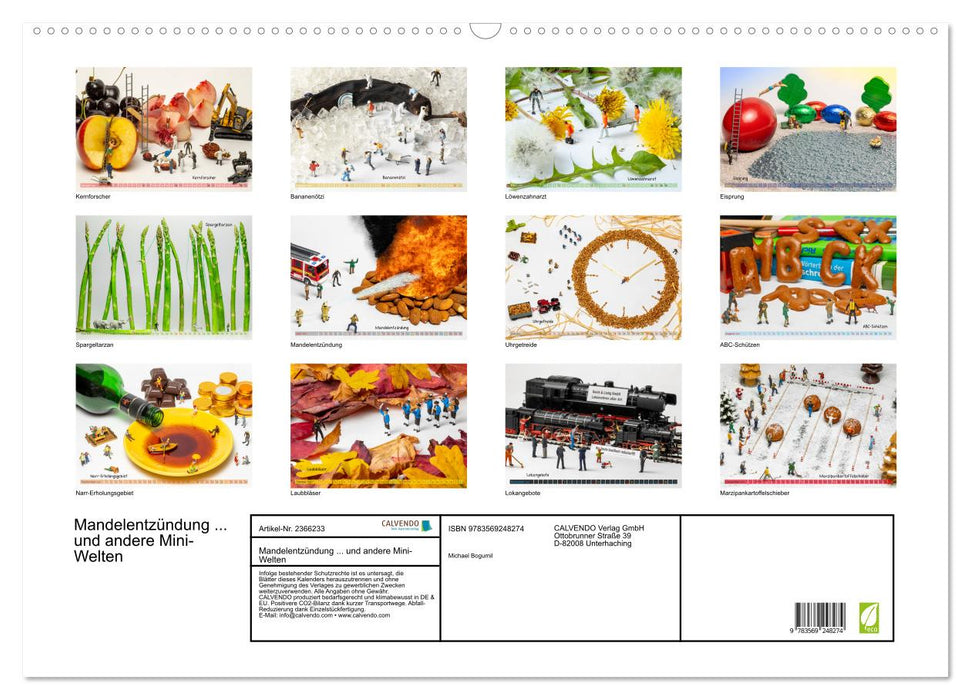 Mandelentzündung... und andere Mini-Welten (CALVENDO Wandkalender 2027)