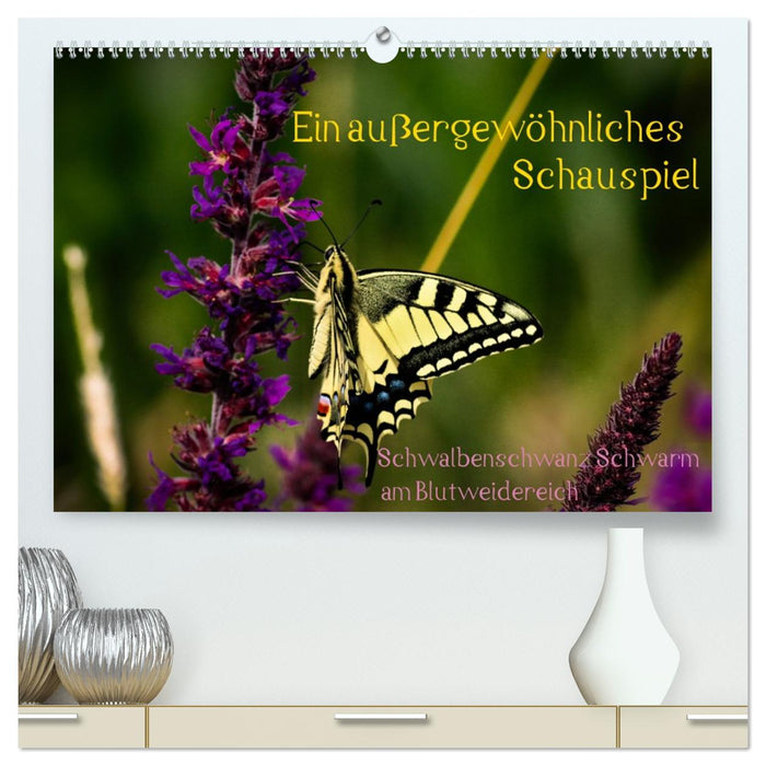 Ein außergewöhnliches Schauspiel (CALVENDO Premium Wandkalender 2027)