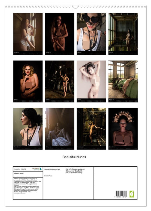 Beautiful Nudes (CALVENDO Wandkalender 2027)