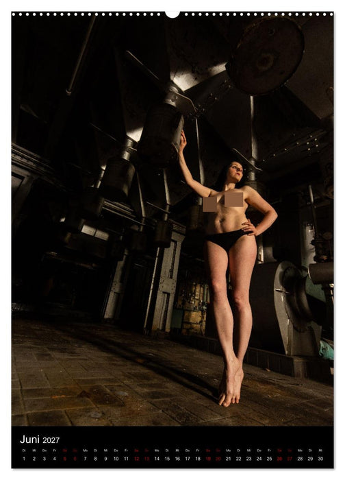 Beautiful Nudes (CALVENDO Wandkalender 2027)