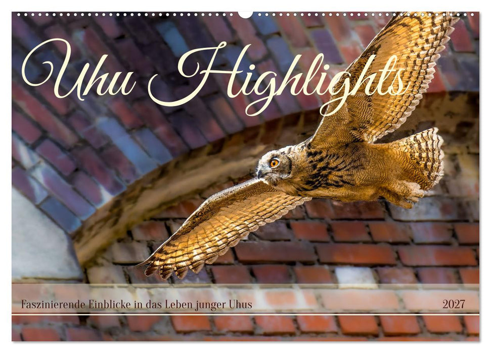 Uhu Highlights (CALVENDO Wandkalender 2027)