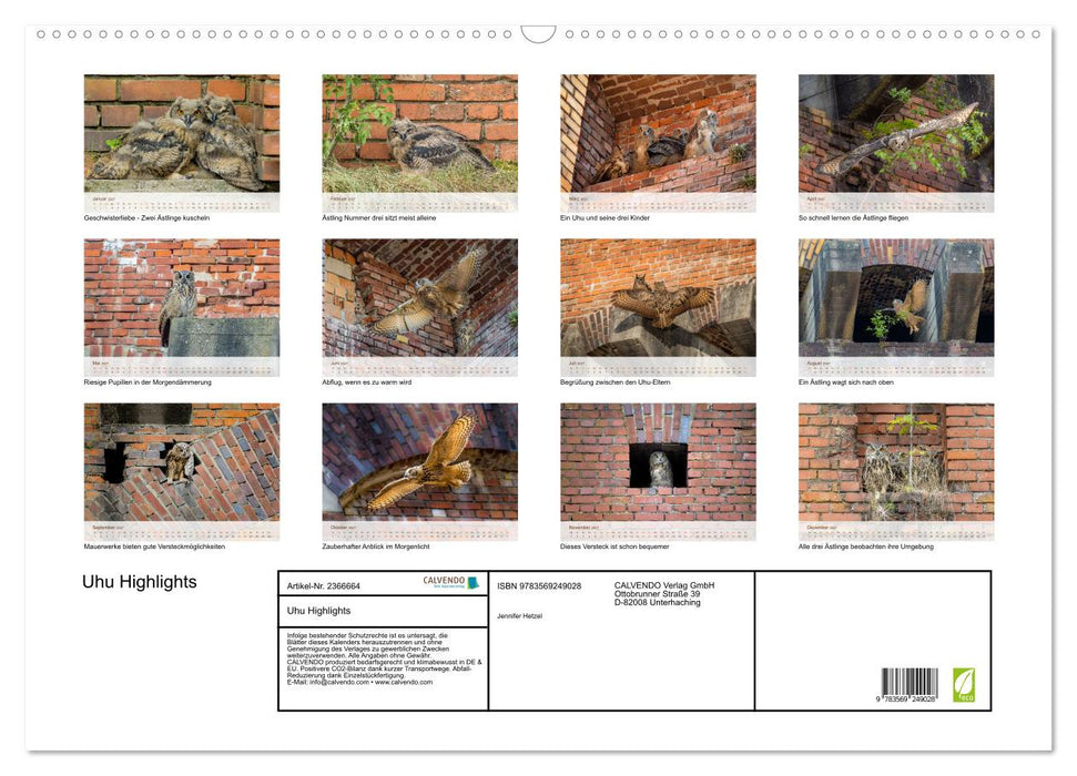 Uhu Highlights (CALVENDO Wandkalender 2027)
