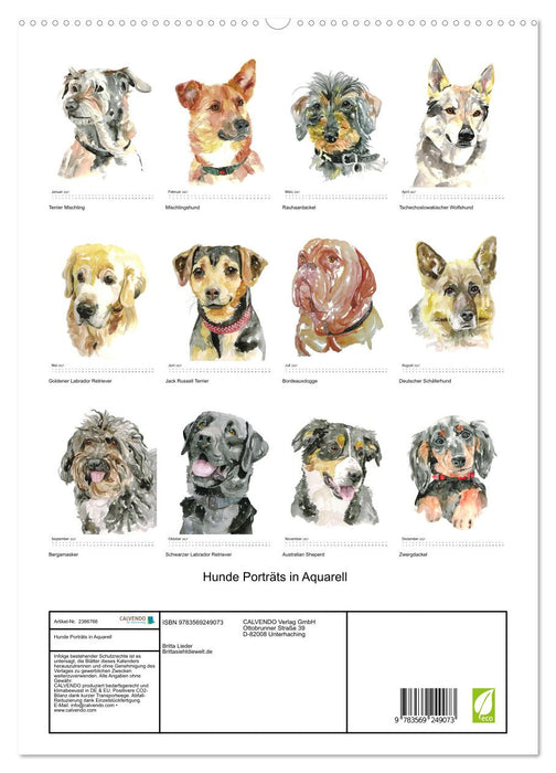 Hunde Porträts in Aquarell (CALVENDO Premium Wandkalender 2027)