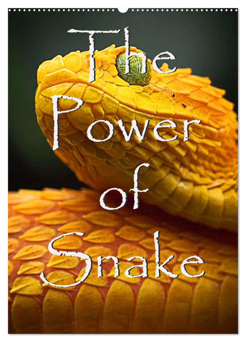 The Power Of Snake (CALVENDO Wandkalender 2027)